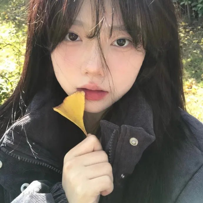 香格里拉下雪了吗 封面