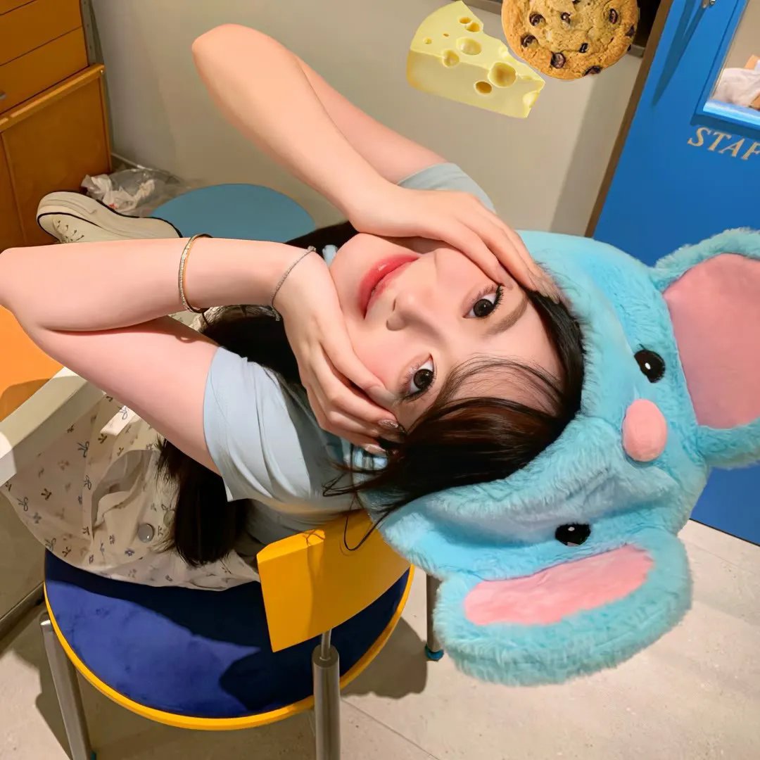 护照 封面