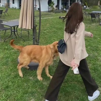 造物者 封面